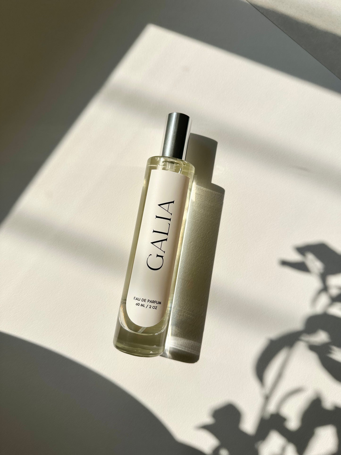 Donna born in Roma Valentino